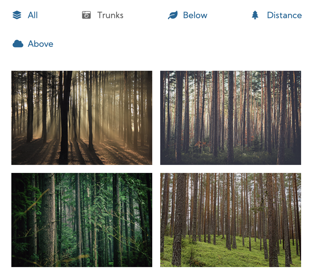 A gallery, filtered to trunks, shows four pictures of tree trunks in various settings.