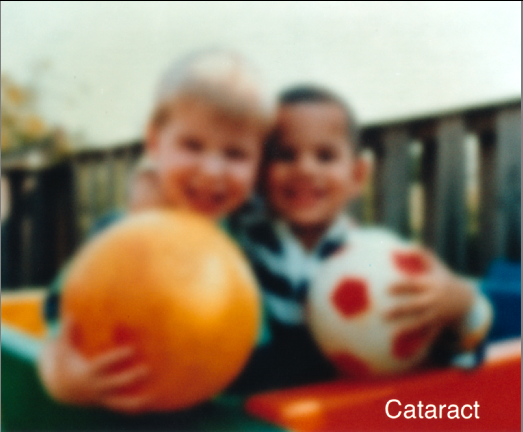 A photo of two boys in front of a fence, each holding a sports ball. The photo is blurry and the faces are indistinct.
